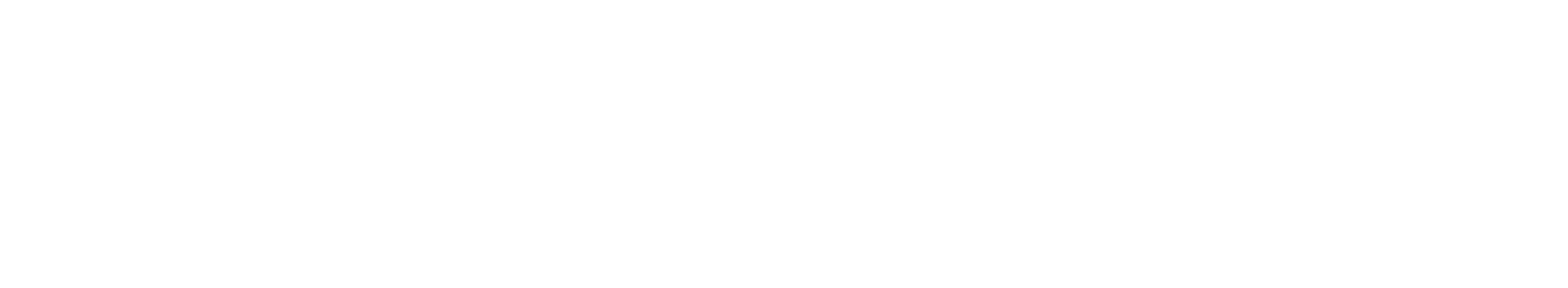 DUDE AND DUKE - ALL LOGOS_DnD Horiz White